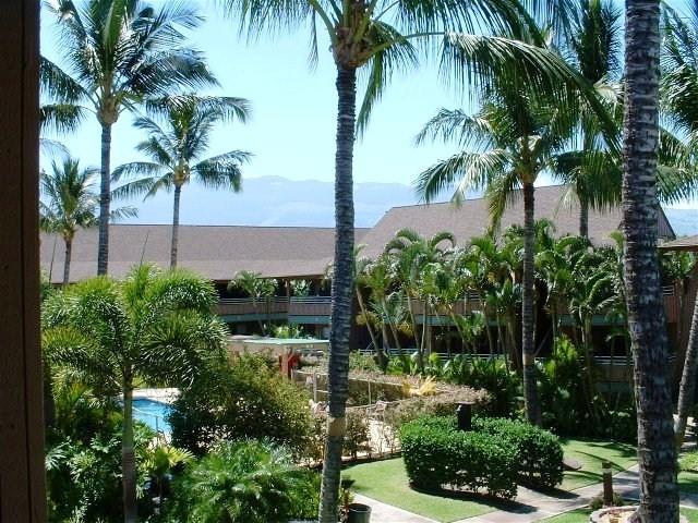 Kihei Bay Vista #C-101 Condo Exterior foto
